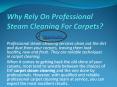 Why Rely On Professional Steam Cleaning For Carpet PowerPoint PPT Presentation