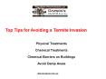 Top Tips for Avoiding a Termite Invasion PowerPoint PPT Presentation