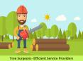 Tree Surgeons- Experienced Experts at your Service PowerPoint PPT Presentation