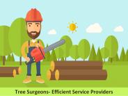 Tree Surgeons- Experienced Experts at your Service