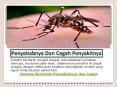 Demam Berdarah: Kenali Penyebabnya Dan Cegah Penyakitnya PowerPoint PPT Presentation