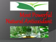 Most Powerful Natural Antioxidant
