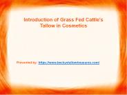 Introduction of Grass Fed Cattle's Tallow in Cosmetics