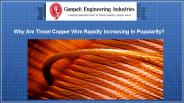 Why Are Tinsel Copper Wire Rapidly Increasing In Popularity