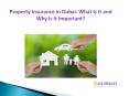 Property Insurance in Dubai: What Is It and Why Is It Important? PowerPoint PPT Presentation