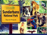 Sundarban Package Tour
