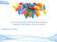 North America Non-Gelatin Empty Capsules Market 2016-2021 PowerPoint PPT Presentation