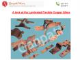 A look at the Laminated Flexible Copper Wires PowerPoint PPT Presentation