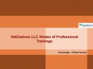 NetZealous LLC Modes of Professional Trainings