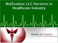 NetZealous LLC Services in Healthcare Industry PowerPoint PPT Presentation