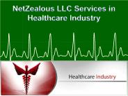 NetZealous LLC Services in Healthcare Industry