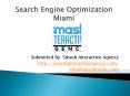 Search Engine Optimization Miami (SEO Services Miami in affordable budget) PowerPoint PPT Presentation