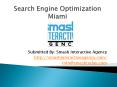 Search Engine Optimization Miami (SEO Services Miami in affordable budget) (1) PowerPoint PPT Presentation