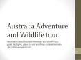 Australia Adventure and Wildlife tour PowerPoint PPT Presentation