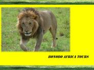 Kenya Lodge Safaris
