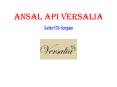 Ansal Versalia – Flats in Gurgaon – Investors Clinic PowerPoint PPT Presentation