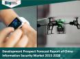 Development Prospect Forecast Report of China Information Security Market PowerPoint PPT Presentation