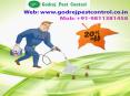 Pest Control Noida Call us on 9811381458