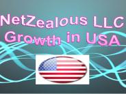 NetZealous LLC Growth in USA