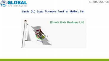 Illinois  State Business Email & Mailing List
