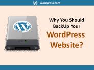 Why You Should Back Up Your WordPress Website?