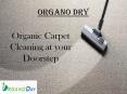 Organic Carpet Cleaning at your Doorstep PowerPoint PPT Presentation