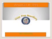 Dog Daycare Encinitas