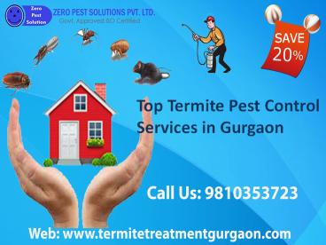 Top termite pest control services in gurgaon call 9810353723