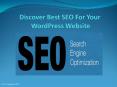Get the best SEO for Your WordPress Website PowerPoint PPT Presentation