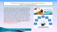 Dog shock collar reviews – alpha dog technology