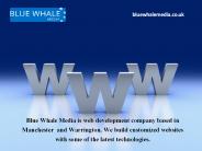 Web Designing Company Warrington - BlueWhaleMedia