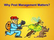 Why Pest Managment Matters
