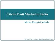 Citrus Fruit Market in India