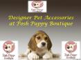 Designer Pet Accessories at Posh Puppy Boutique