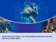Learn How to Dive Underwater