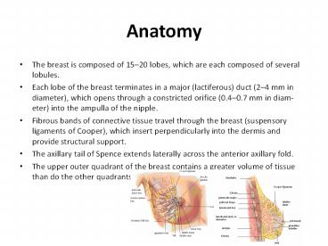 Anatomy
