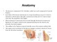 Anatomy PowerPoint PPT Presentation