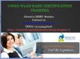 CWNA WLAN Basic Certification Online Training PowerPoint PPT Presentation
