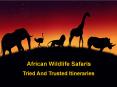 African Zambia Wildlife Safari : Enjoy the Thrilling Natural World PowerPoint PPT Presentation