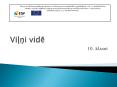 Vilni vide PowerPoint PPT Presentation