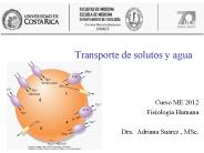 Transporte de solutos y agua
