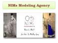 New Indian Models PowerPoint PPT Presentation