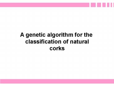 Presentazione di PowerPoint