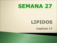 SEMANA 27