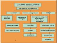 Diapositiva 1