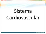 Sistema Cardiovascular