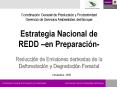 Estrategia Nacional de REDD  PowerPoint PPT Presentation