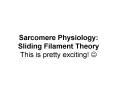 Sarcomere Physiology: Sliding Filament Theory This is pretty exciting! ? PowerPoint PPT Presentation