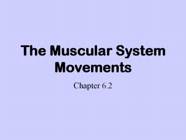 The Muscular System Movements