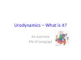 Urodynamics  PowerPoint PPT Presentation